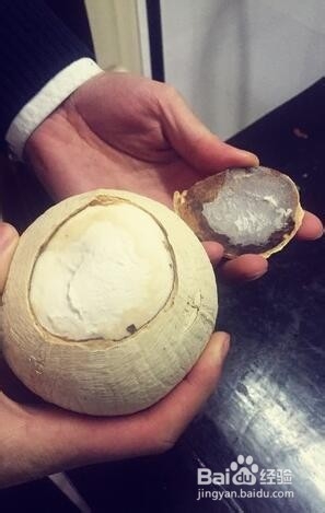 椰汁双皮奶的做法