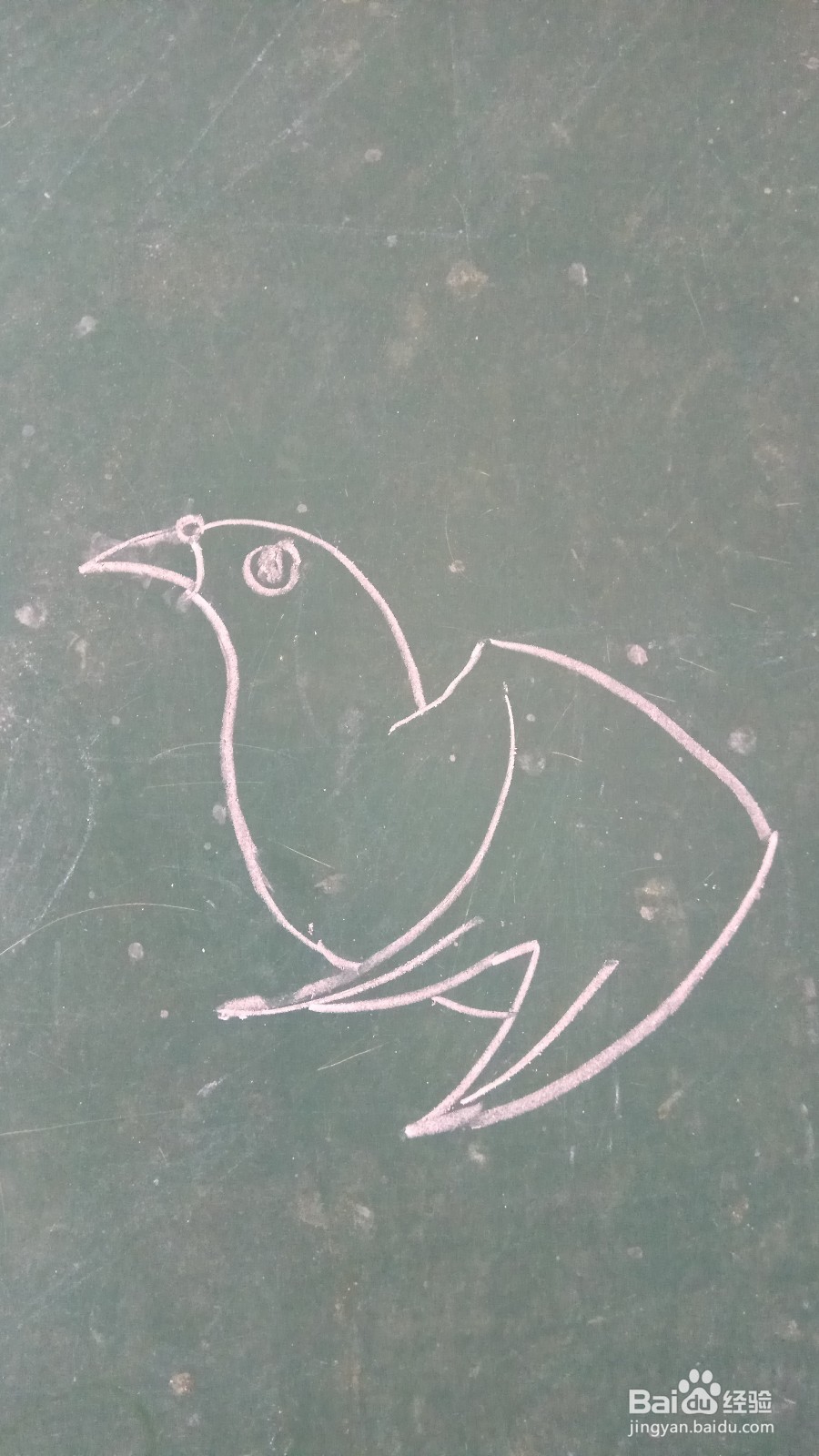 儿童简笔画鸽子的画法