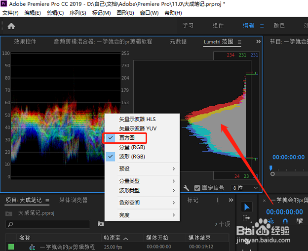 pr教学-如何打开直方图