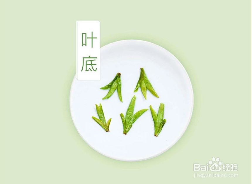 龙井怎么泡才好喝呢