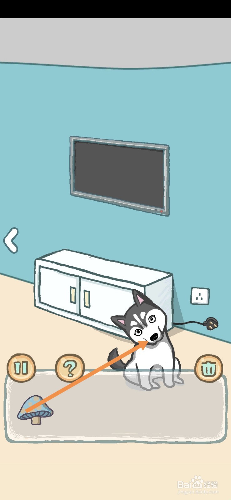 养只二哈不容易拆家并非浪得虚名9-10天怎么过关