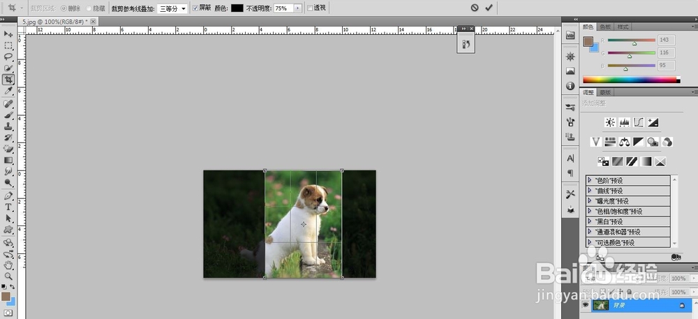 PS一寸照片如何剪切?