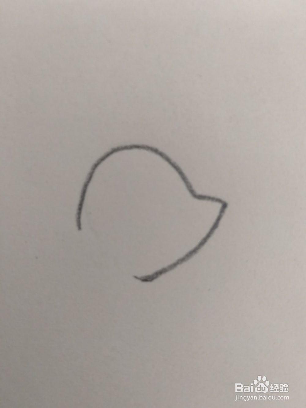 儿童简笔画小海豹画法