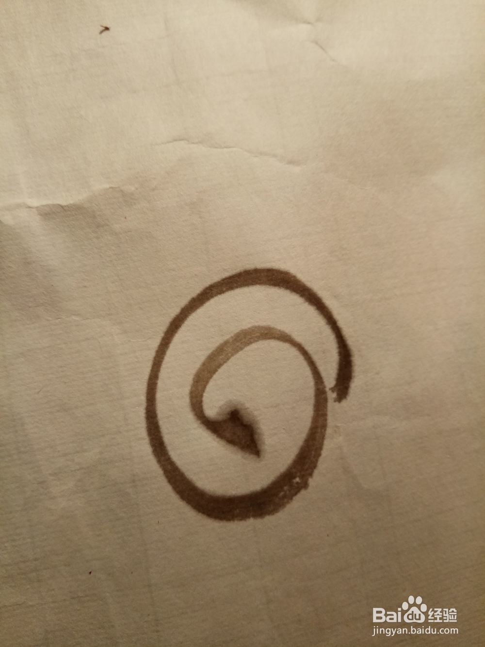 国画写意蜗牛的画法,