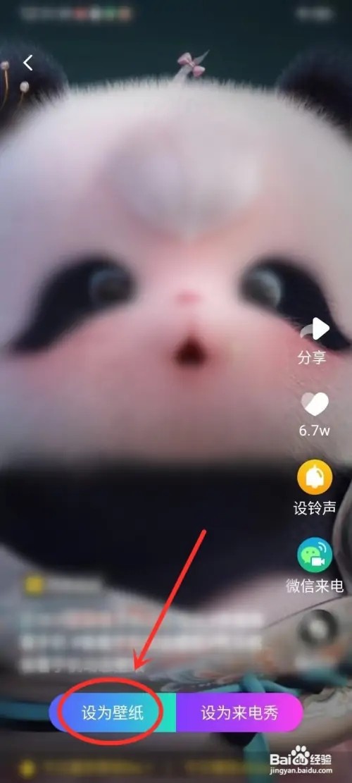 熊非熊动态壁纸声音如何设置