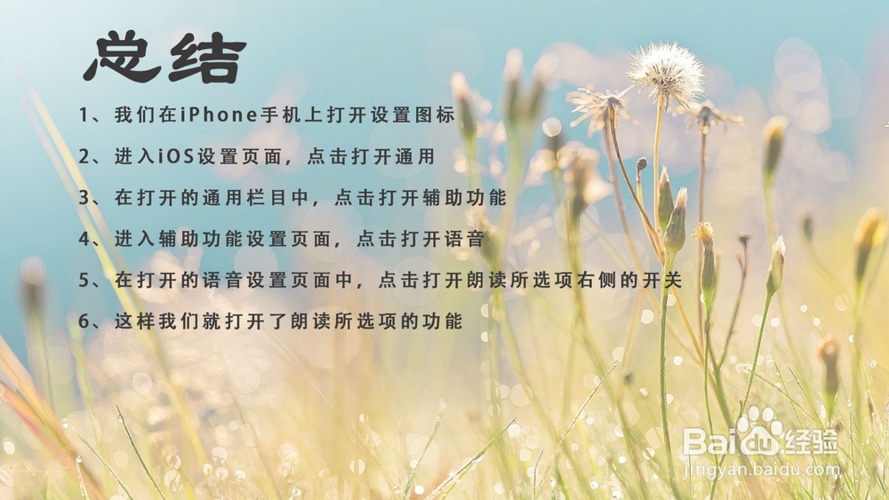 苹果iOS12怎样开启朗读所选项?