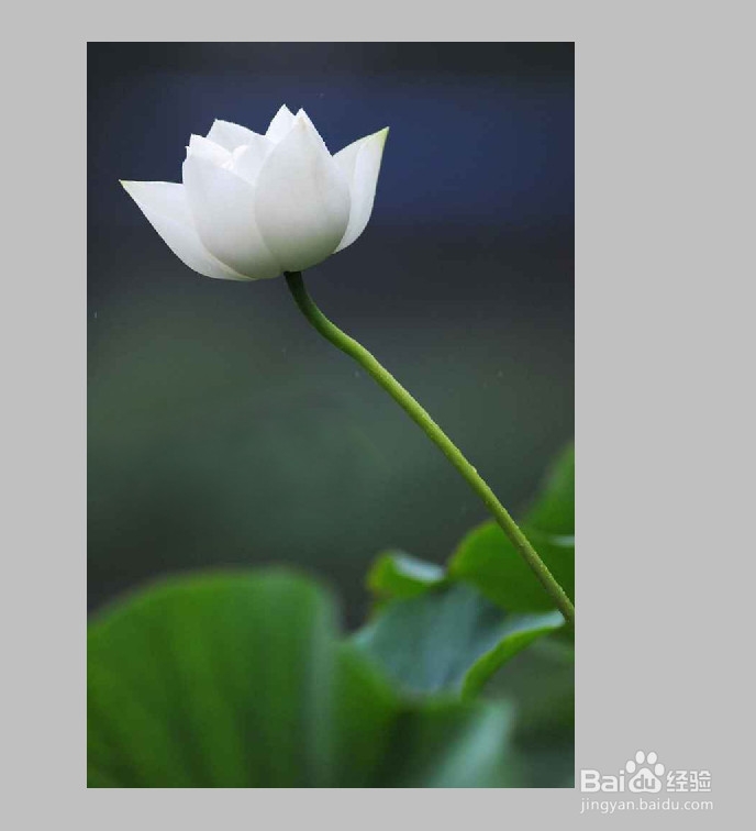 如何去掉pdf文件中的水印