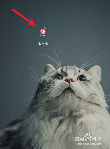 易卡宝如何查找油卡的全部订单?