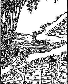 为什么古代没有土地的农民不自己开荒