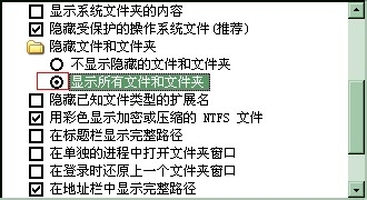 如何显示隐藏文件？