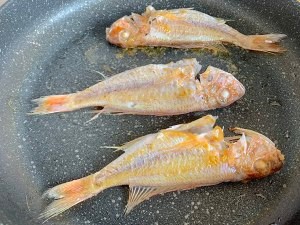 番茄烩红衫鱼的做法