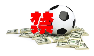 2014巴西世界杯“真球迷