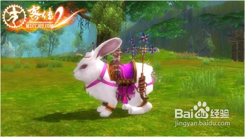 《密传2》教你三步养出极品宠