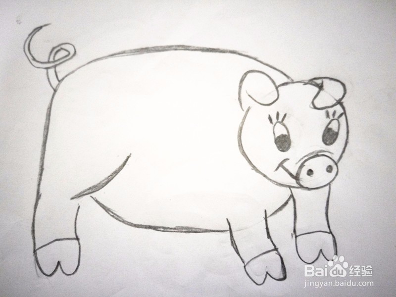 简笔画—卡通猪的画法