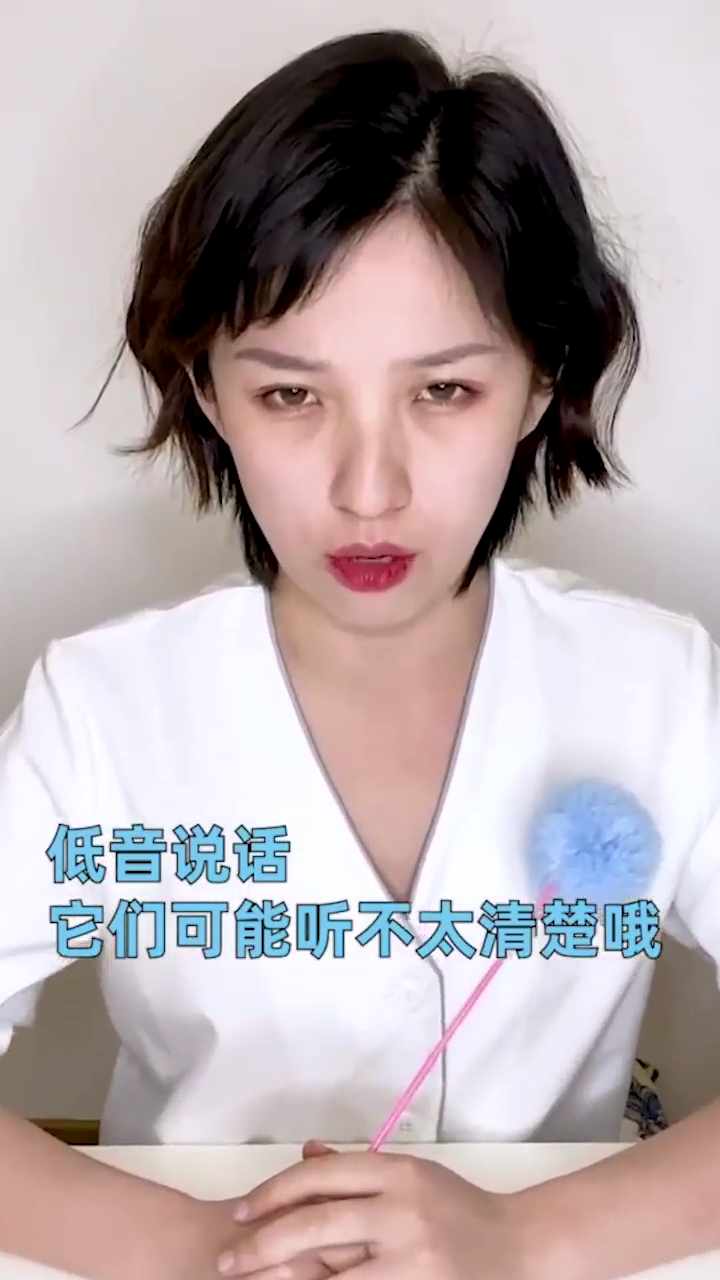 猫咪听到的世界是什么样子？