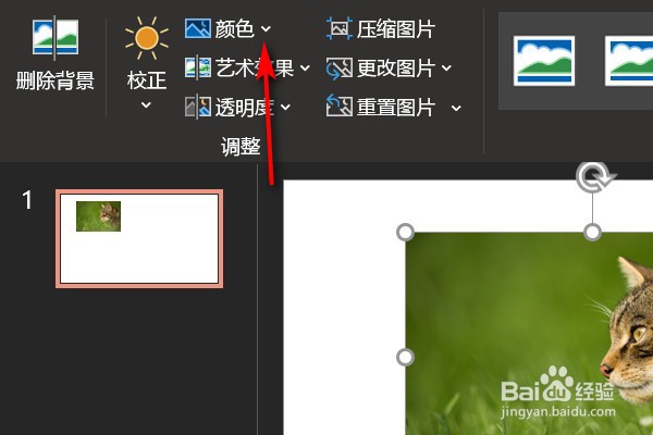 PPT图片背景透明怎么设置?