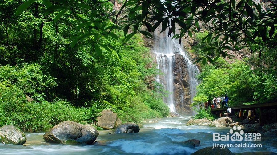 张家界游玩定制,原来大家都是这么玩的!