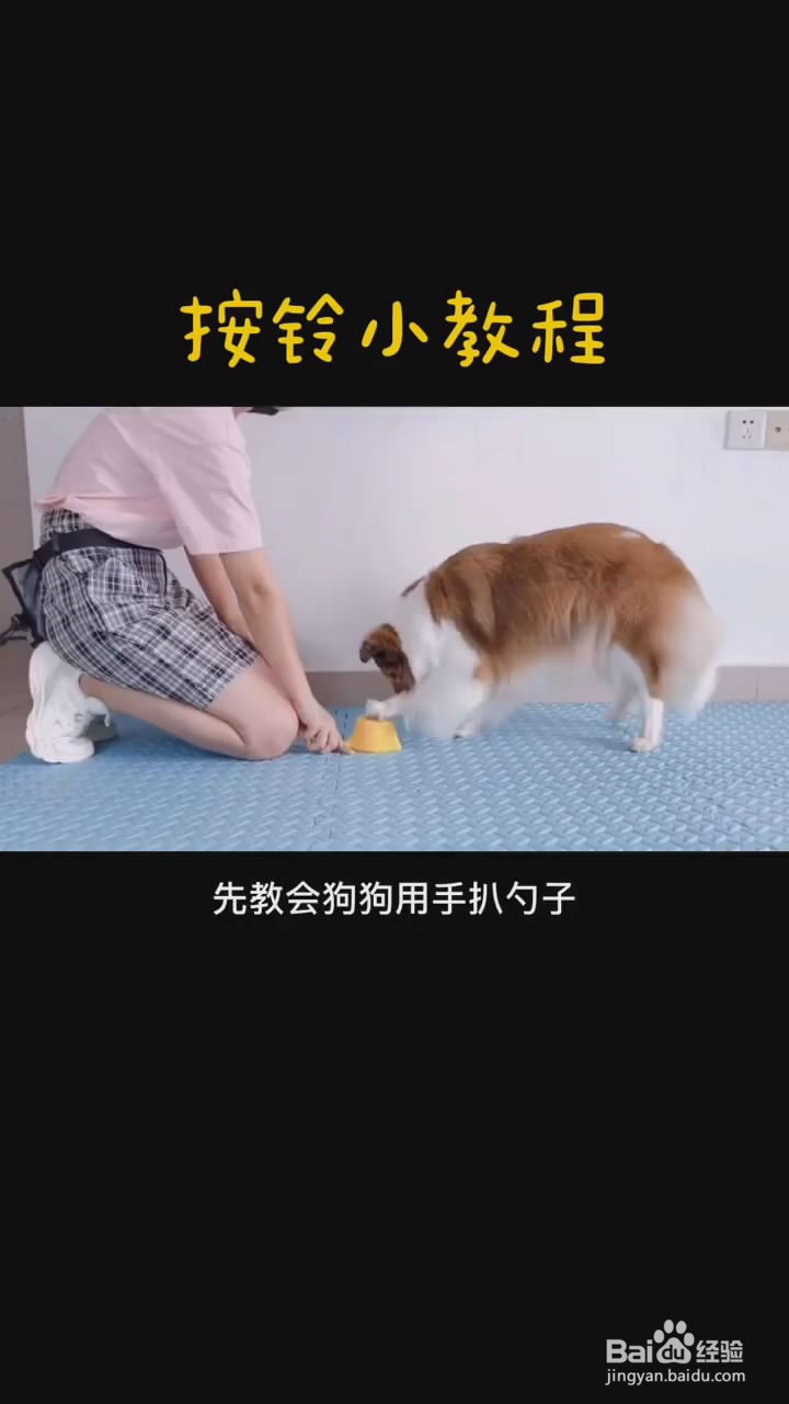 如何训练狗狗按铃