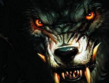 狼人杀的常见术语有哪些