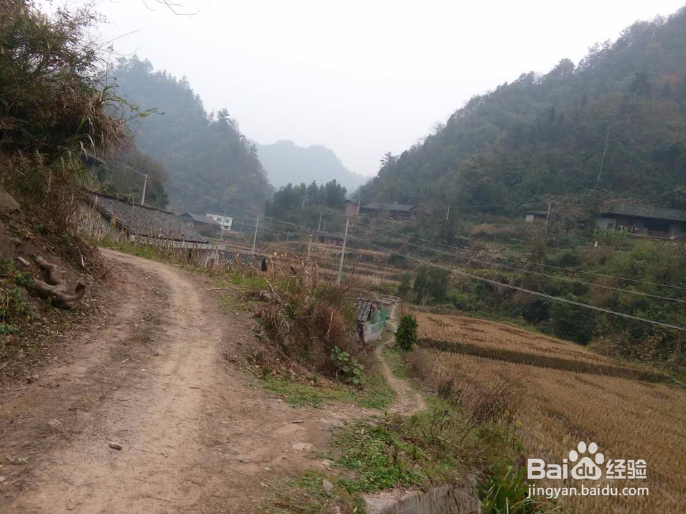 田云青老师旅游景观册编辑方法