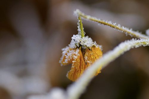 旅游中在糟糕天气拍照技巧攻略