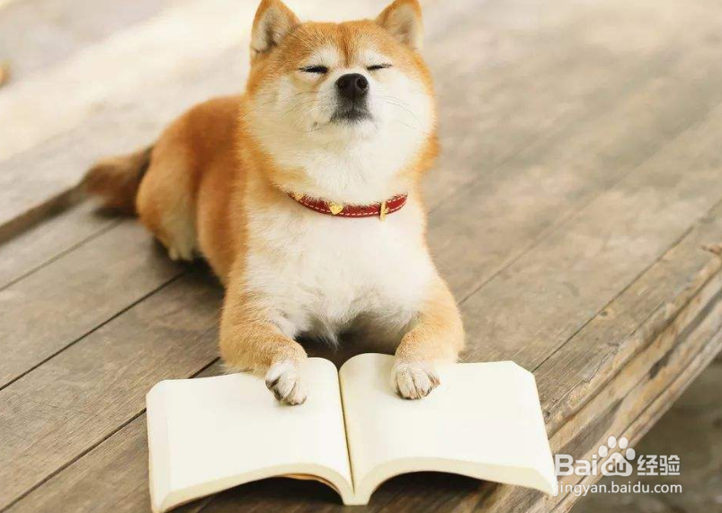 游戏上瘾，我们如何去戒掉它。