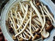 营养美味的茶树菇煲鸭汤