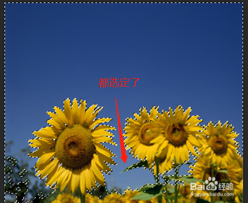 PSCC 如何应用魔棒工具之实例操作