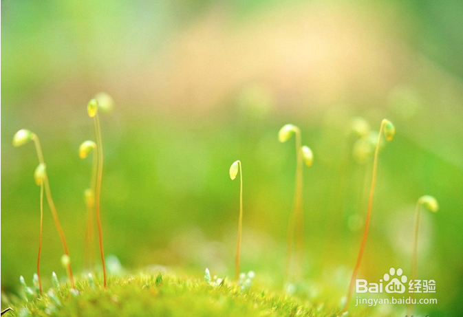 春季健康养生原则