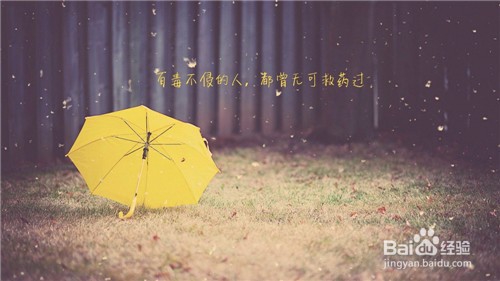 老公出轨我该原谅还是？