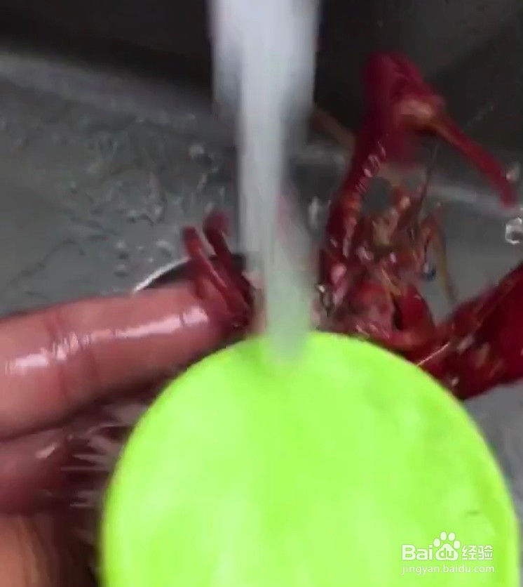 特色香辣小龙虾怎么做