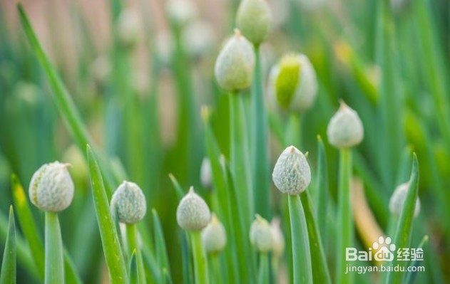 蚂蚁新村5月19日今日最新答案