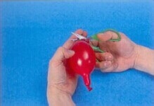 魔法气球造型教程系列之：[25]番茄