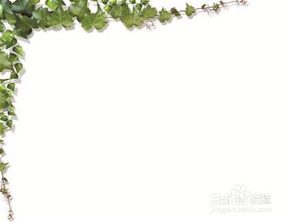 京东白条怎么用优惠券