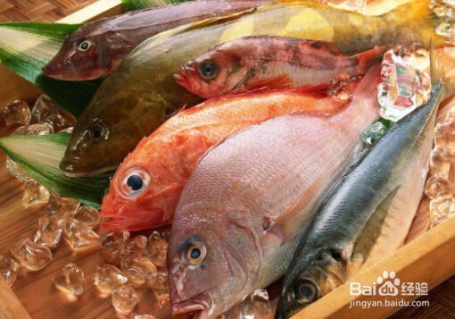 夏秋之交如何合理饮食？