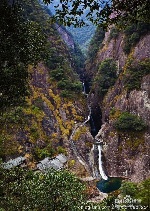 文成避暑胜地,铜铃山森林。