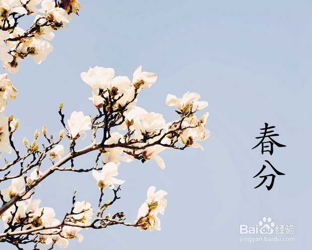 春分养生指导