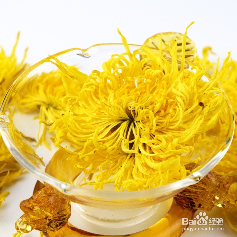 怎么挑选金丝皇菊