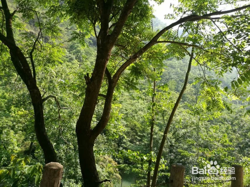 世外桃源—坝美旅游攻略