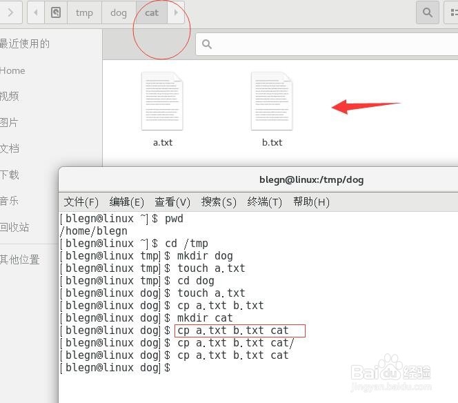 linux怎么复制文件