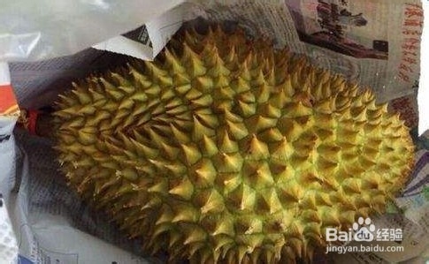 榴莲不熟怎么办?