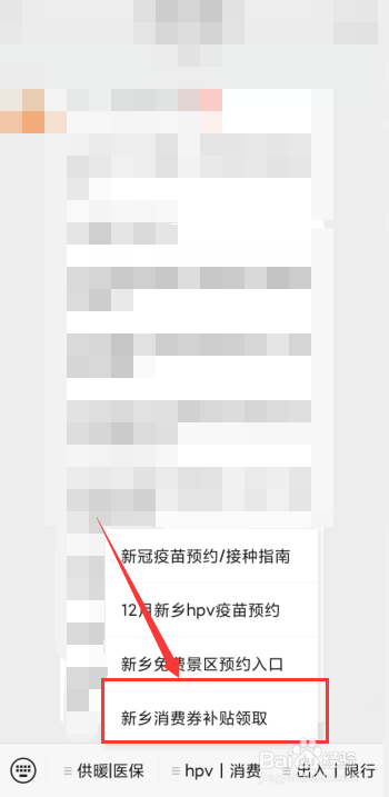 新乡市政府消费券怎么领取