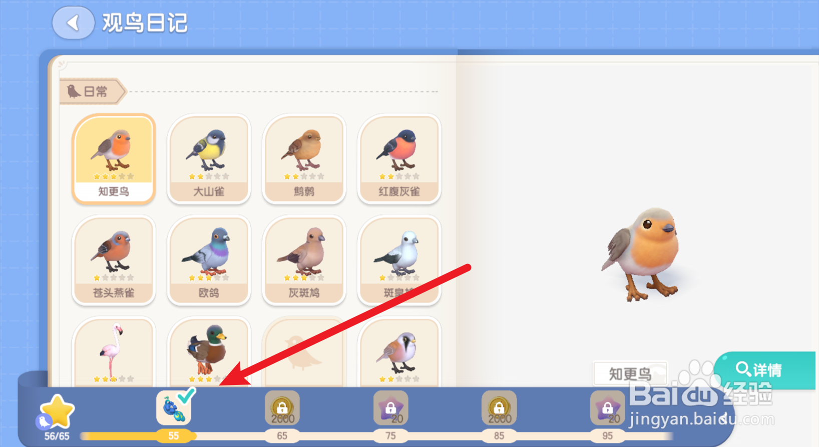 心动小镇怎么获得孔雀帽