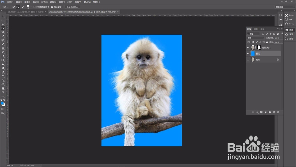 如何抠头发ps cc 2015.5 Photoshop技巧抠图