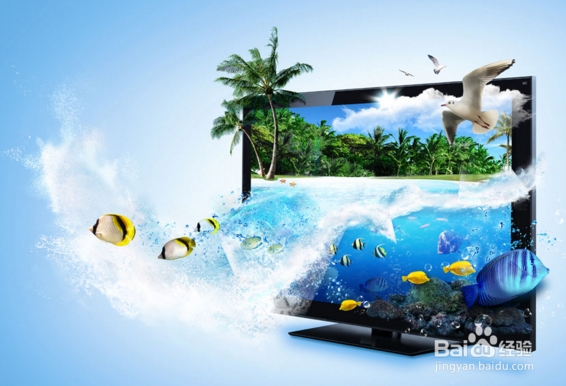 iphone5S和iphone SE的区别