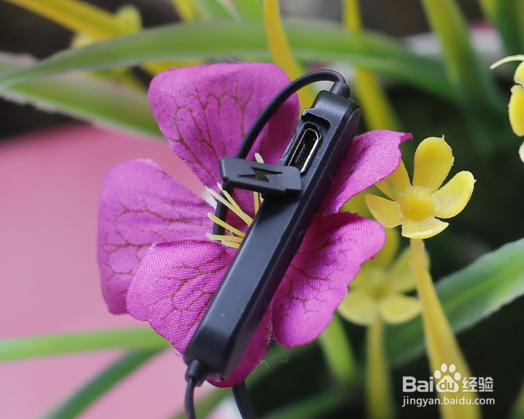 JEET W1蓝牙耳机功能使用