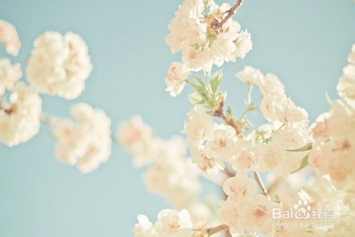 小儿急性肠炎该如何用药