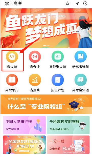 哪里可以查各大学高考的录取分数线和专业