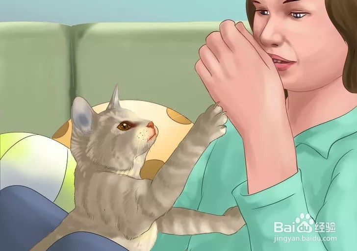 怎样照顾幼猫？