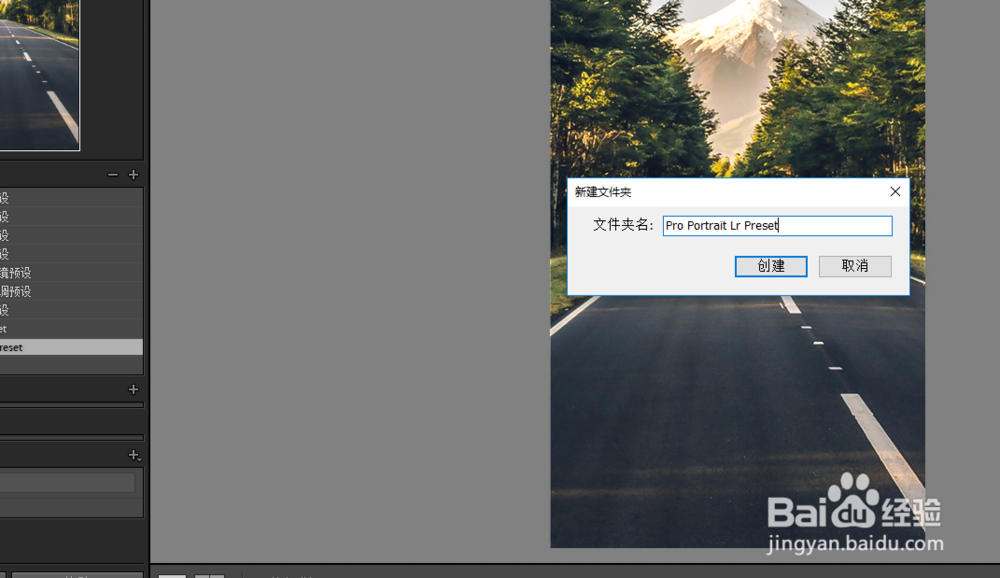 Lightroom如何导入预设文件